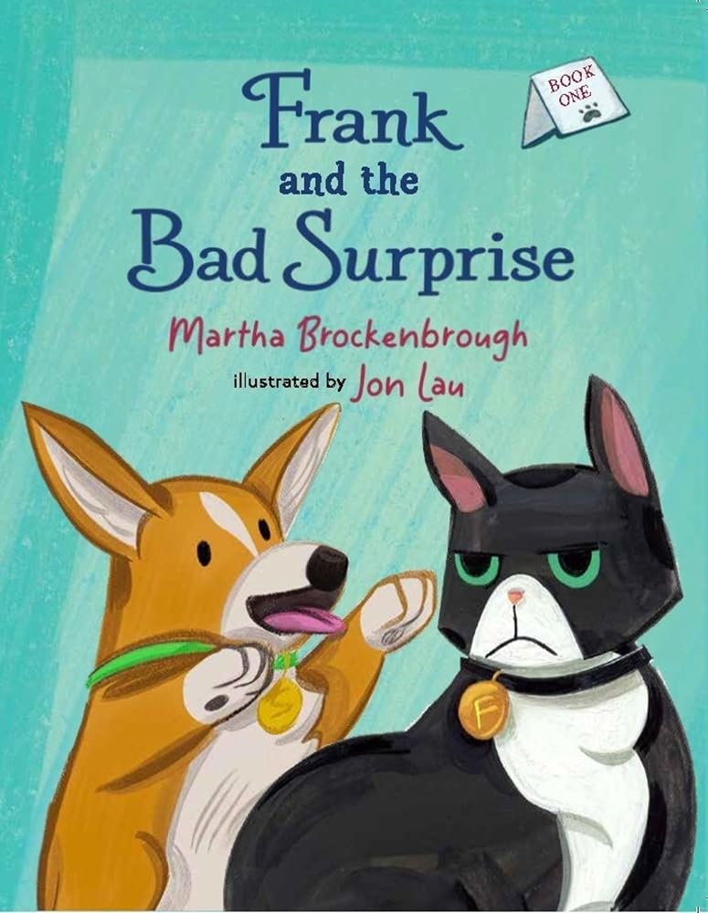 Frank and the Bad Surprise: Book 1 cover image